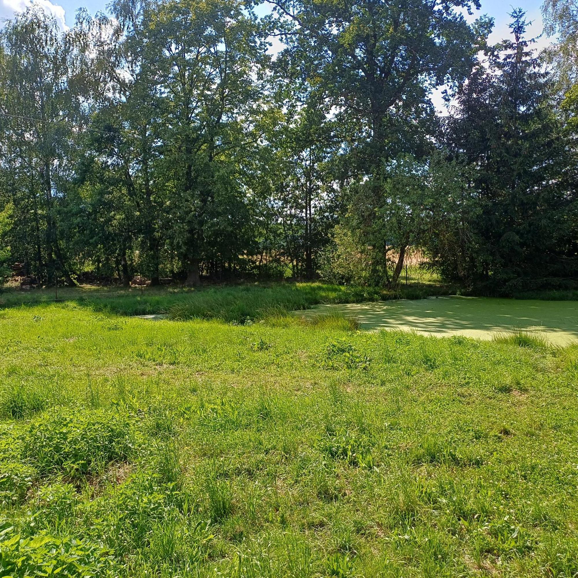 Statek U Spulaka Apartment Lomnice nad Lužnicí Bagian luar foto