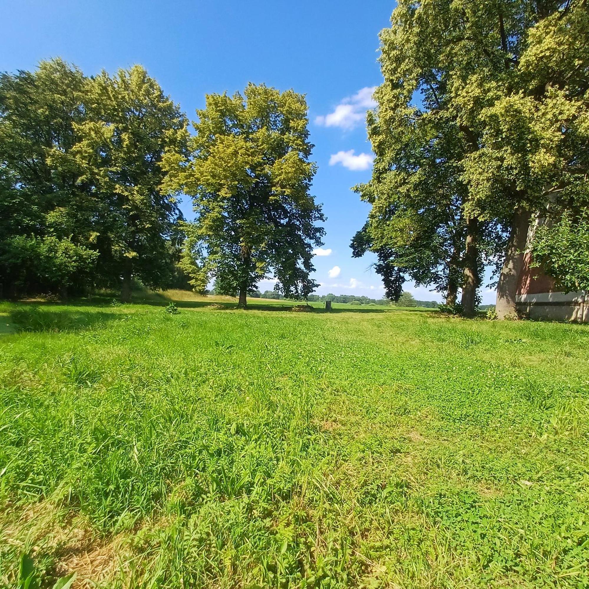 Statek U Spulaka Apartment Lomnice nad Lužnicí Bagian luar foto